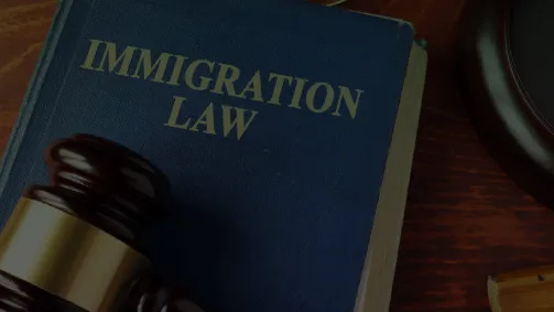 Immigration Application Specialist